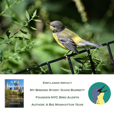 Kirtlandii Impact: My Birding Story - David Barrett