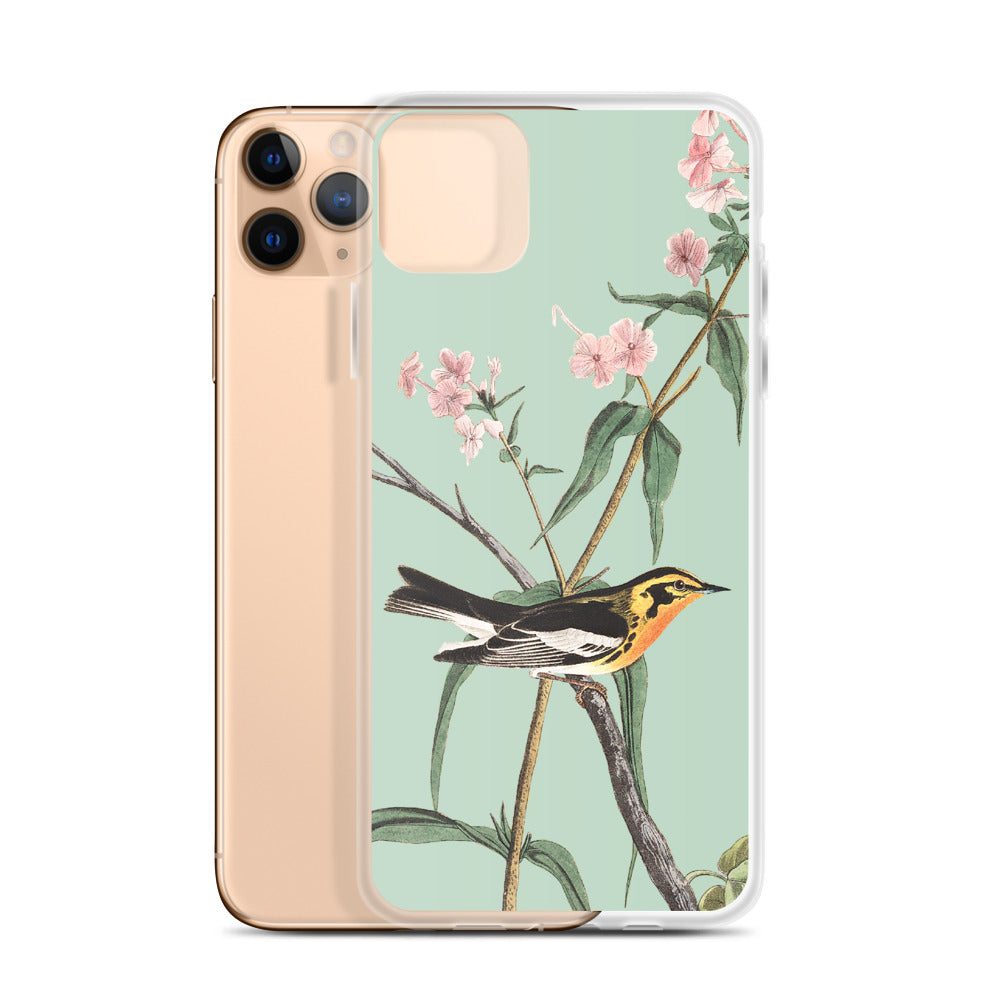 Audubon Blackburnian Warbler iPhone Case – Kirtlandii