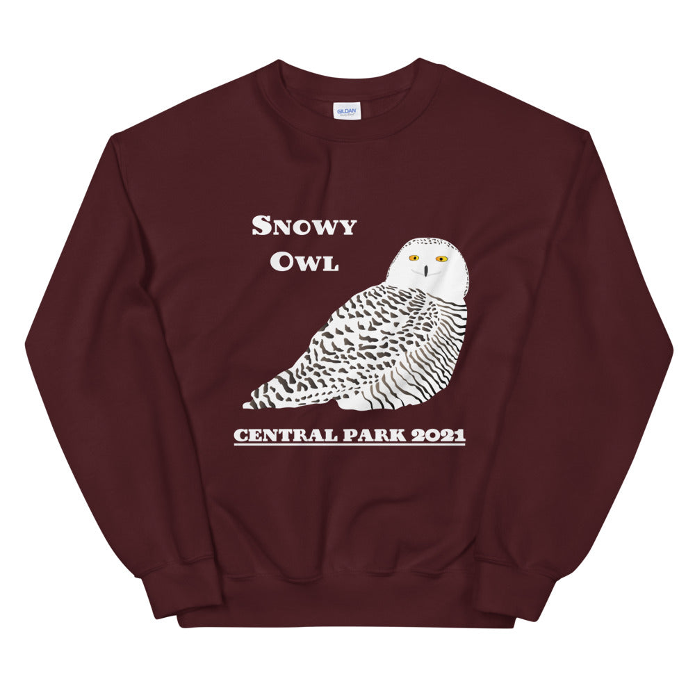 Owl sweatshirt best sale